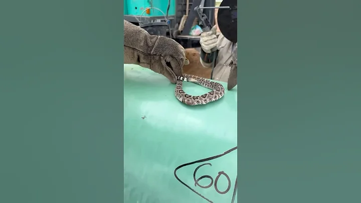 Rattlesnake West Texas Pipeline #pipeline #welding #westtexas #bluecollar #construction #welder