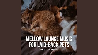 Mellow Notes and Pet-Friendly Serenity