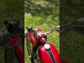 Komar mr 232 oryginał ze Szwecji!!! SPRZEDAM!!!