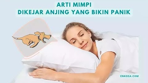 5 Arti Mimpi Dikejar Anjing Yang Bikin Panik