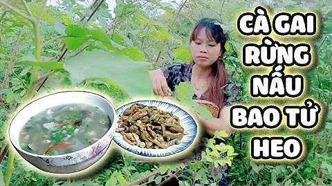 Cà Gai Rừng Nấu Theo Cách Của Người Jrai - Bữa Ăn Ngon Cho Buổi Tối Trăng Tròn | Cooked pork stomach