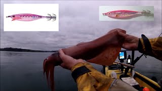 My Most Successful Squid Fishing Rig + Best Squid Jigs and Jig Colours