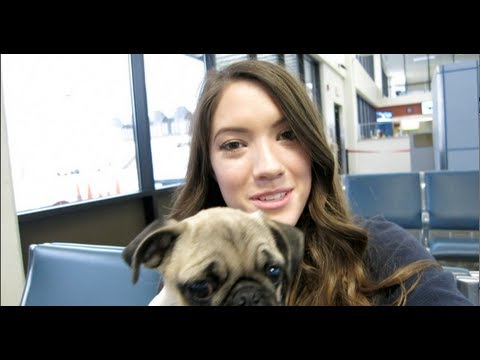 Idaho?! No... Udaho! Daily Vlog March 26, 2013