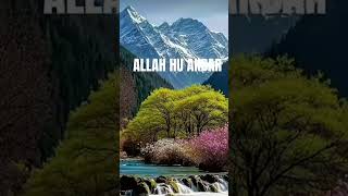  Allah Subhana Watalaquranislamqurantranslationtranslationshortsshortshortsfeed