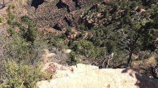 IMG 4216