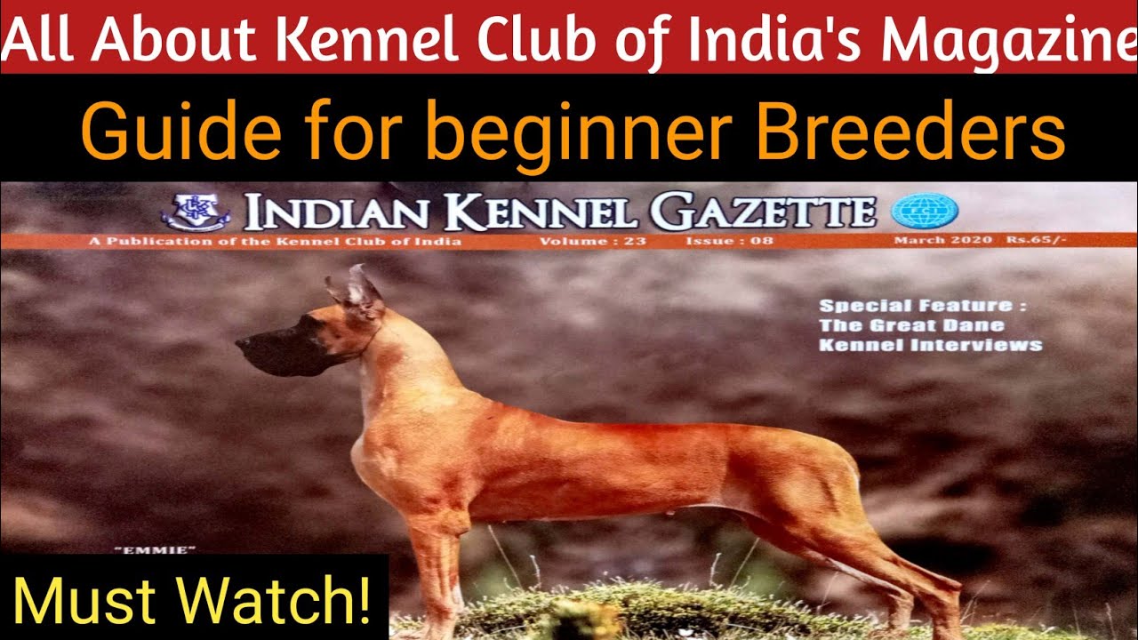 Everything about KCI's Indian Kennel Gazette Tips for beginner