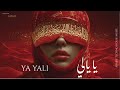 Ya Yali يا يالي Arabic Techno House Mix 