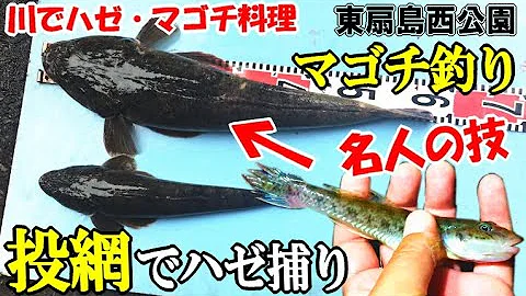 神奈川のサーフで爆釣したワカシとマゴチを捌いて食べてみた 刺身 フライ 唐揚げ ヒレ酒 お吸い物の作り方と一番美味しかったのは Mp3