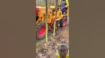 cách bứng nguyên cây dừa #farming