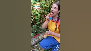 Thumbnail of Count & Play with Caitie! 🍓 #caitiesclassroom #countingsongs #shorts #supersimplesongs