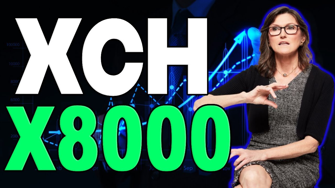 CHIA WILL X8000 AFTER THIS BREAKING NEWS?? - XCH NEWS AND PRICE PREDICTION 2023-2024