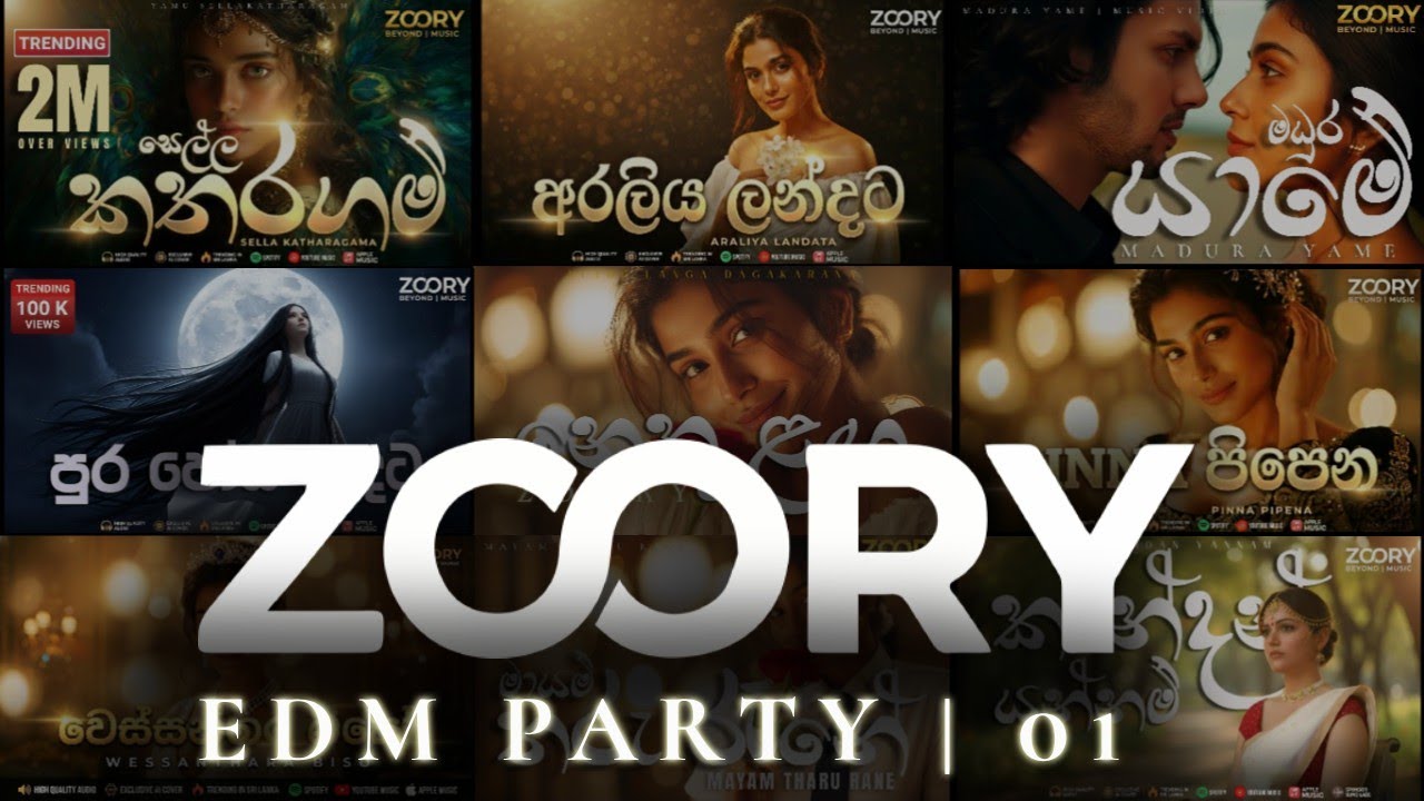 ZOORY | EDM Sinhala Cover Songs Collection 01 | Party Vibe
