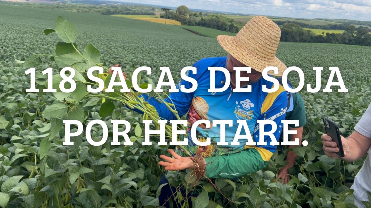 O Segredo das 118 SACAS DE SOJA POR HECTARE: A Natureza Não Aceita Propina