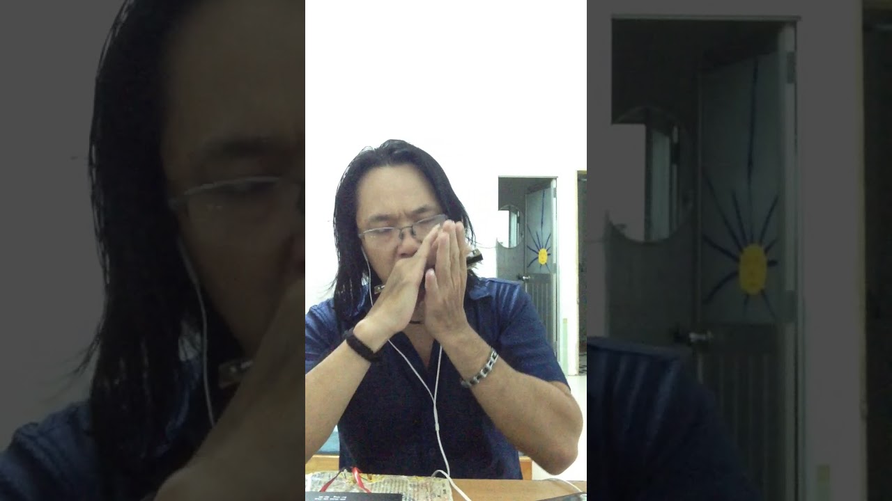 Harmonica-Hotel california