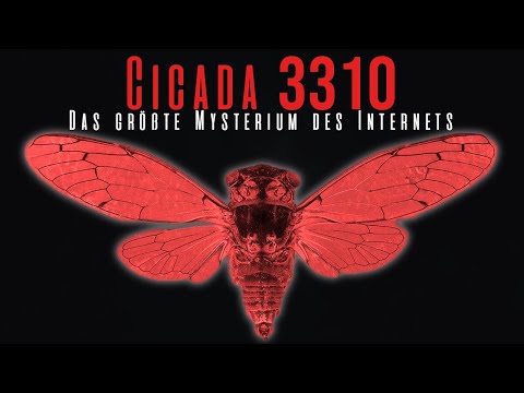 Video: Hat jemand Cicada 3301 gelöst?