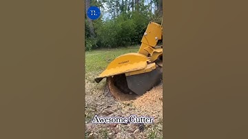 Big tree cutting machine|Smart Technology in 2022