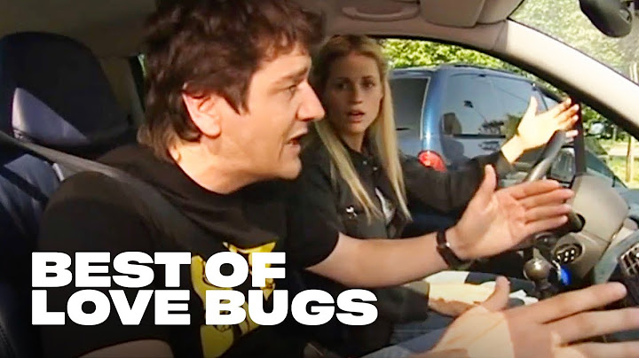I migliori momenti di Fabio e Michelle | Love Bugs