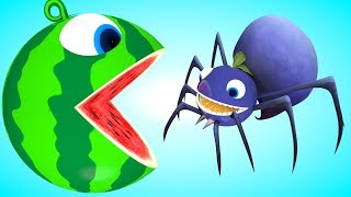 Pacman watermelon meets spider animal friends under palm tree as he find surprise toys