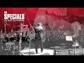 The Specials - Doesn’t Make It Alright (Live From The Cathedral / Visualiser)
