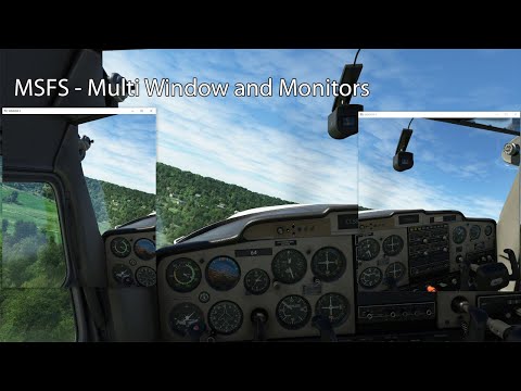 MSFS - Multi