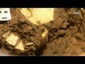 Descubierto en Atapuerca el crimen más antiguo de la Historia