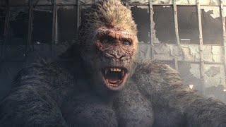 Download Lagu Rampage 2018 Building Fall  Movieclips HD You look like a sh*t MP3