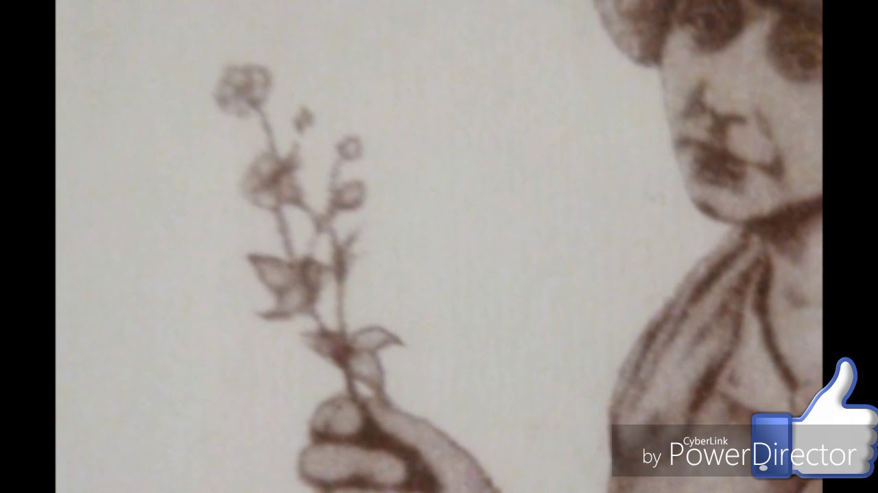 Марина Цветаева — Моим стихам написанным так рано... - YouTube