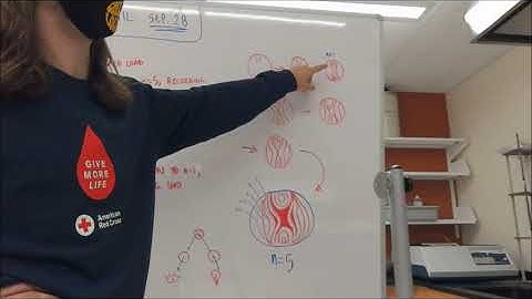 ME 124 Lab1B Photoelasticity Calibration Virtual LAB