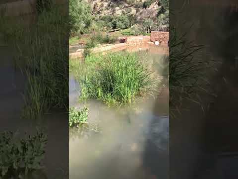 منابع شلالات اوزود التي تصب في النهر المؤدي الى الشلالات