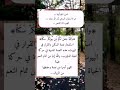 شعور الطمأنينة روائع الكلام كلام من ذهب 