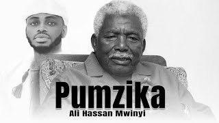 Diamond Platnumz - Pumzika (Ali Hassan Mwinyi) (Official Music Video)