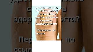 лечу грибок ногтей