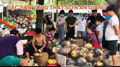 THỐT NỐT Tịnh Biên | Cách lấy cơm Thốt Nốt cực nhanh, đặc sản vùng thất sơn Tịnh Biên | Vùng Biên TV