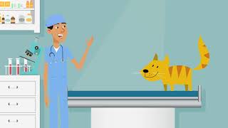 Preventive Care Animation