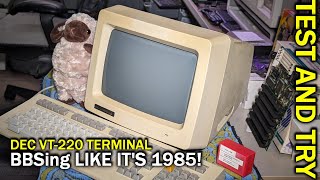 Getting online with a DEC VT-220 terminal