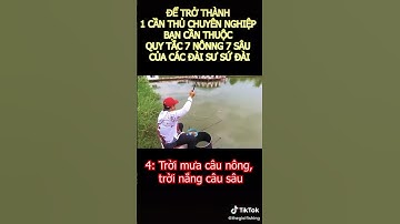 Quy tắc 7 nông 7 sâu của các đài sư Trung Quốc #fishing #fishingvideo #cauca #moicau #dammecauca