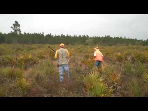 Quail Hunting - Silver Lake Preserve - Scott L.