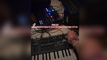 behringer td-3-mo & arturia microbrute & drumbrute impact dawless jam