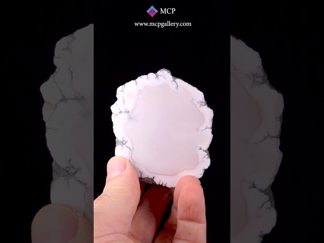 GFS0606 HOWLITE - USA #minerals  #crystalshop #gemstone #crystals #gems