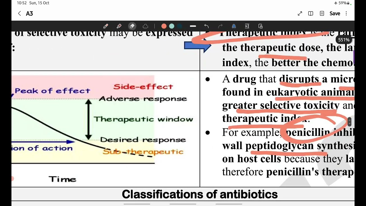 شرح فارماسيوتكال ميكروبايولوجي جامعة حلوان | نموذج شرح