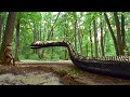 Anaconda Movie Explained in Hindi/Urdu 