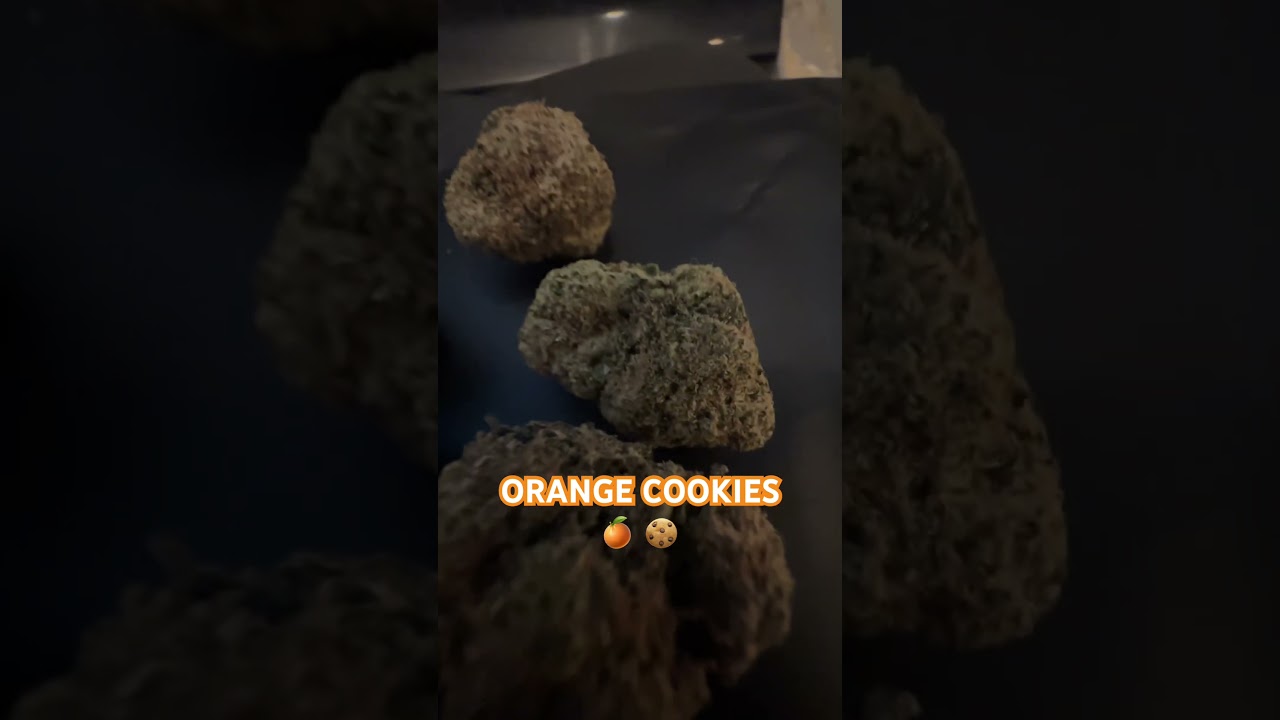 ORANGE COOKIES🍊 🍪 