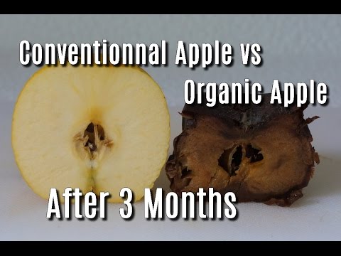 Organic Apples vs. Regular Apples - Does it really matter? - Wake the Wolves