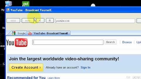 favicon in every tab in a tabbed web browser in !visual basic 2008
