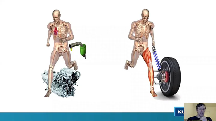 Mechanotherapy: turning movement into medicine by ...