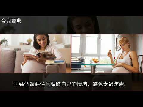 胎寶大腦發育也是分時間段，尤其這3個階段是黃金期，要抓緊！