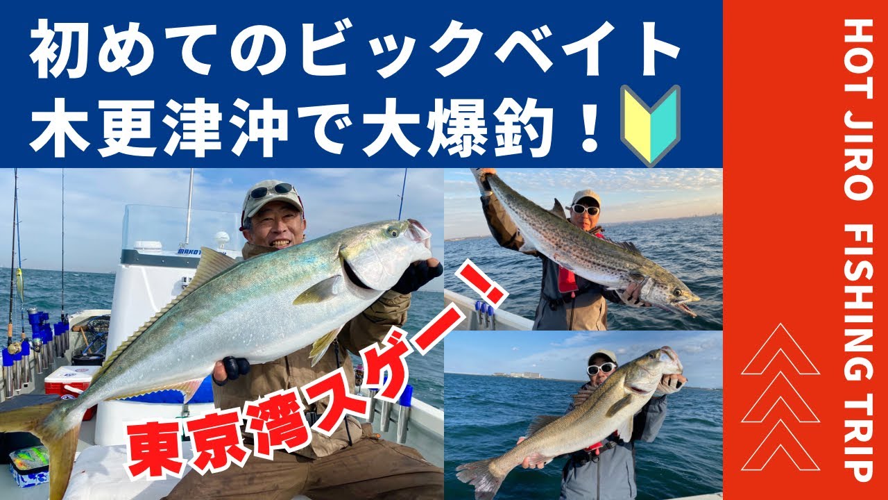神回‼️秋の東京湾 ビッグベイトでランカーシーバス‼️コノシロ