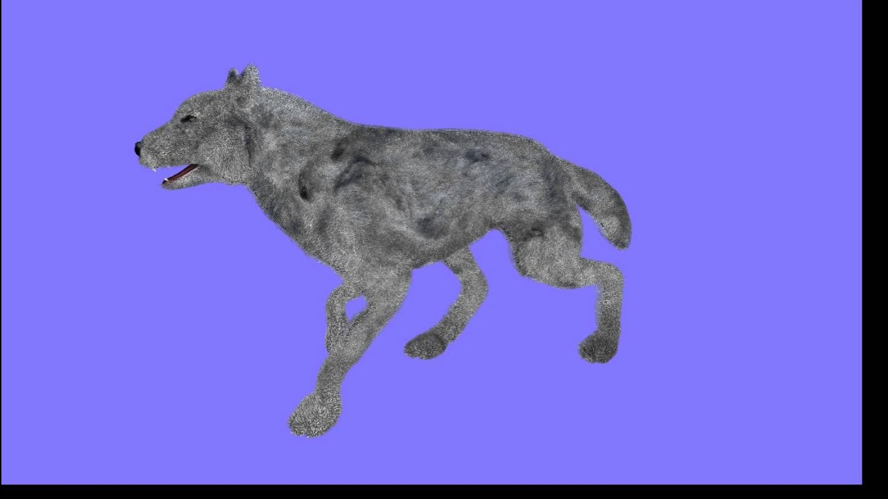 Hair Rendering DirectX 11