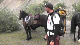 Yukon Caribou Hunt ft Trent Fox with Widrig Outfitters 2010