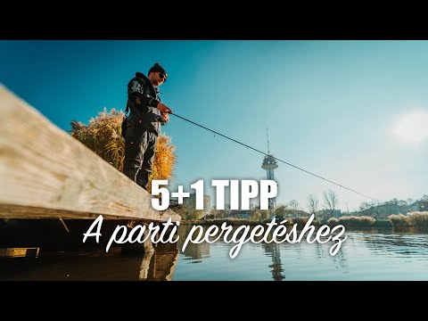 Videó: Tudsz sügérre halászni?